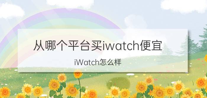 从哪个平台买iwatch便宜 iWatch怎么样？